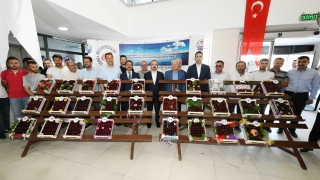 Lapseki Belediyesi 37. Geleneksel Kiraz Festivali’nde üreticiler yarıştı