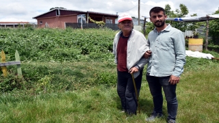 Babası felç olunca yıllarca atıl kalan araziyi çilekle buluşturdu