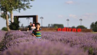 Edirne’de ”Lavanta Tarla Günleri” sürüyor
