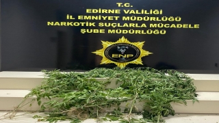 Edirne’de evinin bahçesinde Hint keneviri bulunan şüpheli gözaltına alındı