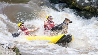 Alman kurt köpeği ”Leo” Bursa’daki rafting turlarının maskotu oldu