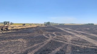 Tekirdağ’da 130 dönüm tarım alanı yandı