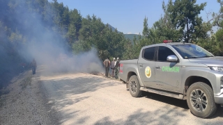 Osmaneli’de ormanlık alanda çıkan yangın söndürüldü