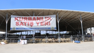 Trakya’da kurban pazarlarında arife yoğunluğu