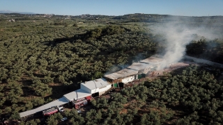 Bursa’da çiftlikte çıkan yangında çok sayıda tavuk ve koyun telef oldu