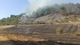 Kocaeli’de ormanlık alanda yangına neden olan kişi hakkında adli işlem yapıldı