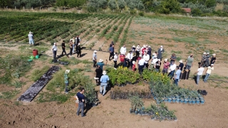 Orhangazi’de Engelsiz Tarım Projesi’nin ilk hasadı gerçekleştirildi