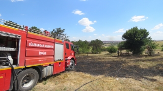 Lüleburgaz Kent Ormanı’nda çıkan yangın söndürüldü