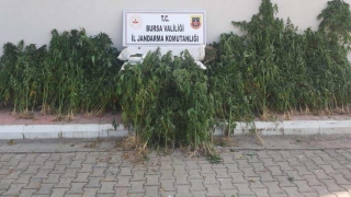 Bursa’da uyuşturucu ürettikleri iddia edilen 3 şüpheliden biri tutuklandı