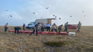 Kırklareli’nde 500 keklik doğaya bırakıldı