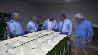 Edirne Valisi H. Kürşat Kırbıyık fabrikaları ziyaret etti