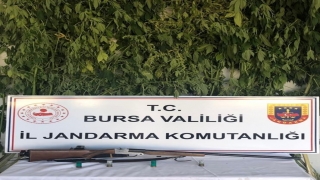 Bursa’da uyuşturucu operasyonunda 3 şüpheli yakalandı