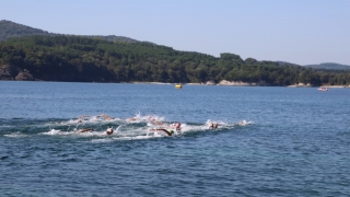Uluslararası Açık Su Yüzme Şampiyonası ”Golden Cup” Kocaeli’de yapıldı
