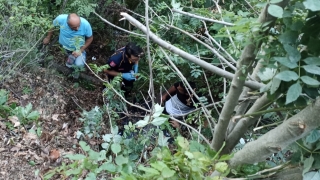 Bursa’da ağaca takılan 2 paraşütçü kurtarıldı