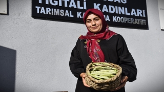 Ata tohumuyla yetiştirdikleri ”Çongara fasulyesi”ni coğrafi işaretle tescillemek istiyorlar