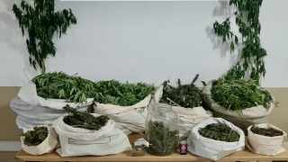Sakarya’da 16 kilogram kubar esrar ele geçirildi