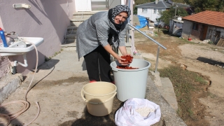 Biga’da hünnap pekmezi kazanlarda kaynamaya başladı