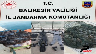 Balıkesir'de deniz patlıcanı operasyonu