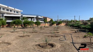 Ayvalık Meslek Yüksekokulunun bahçesi zeytin fidanlarıyla ağaçlandırıldı