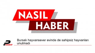 Bursalı hayvansever evinde de sahipsiz hayvanları unutmadı