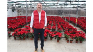 Süs bitkileri ihracatı salgında arttı