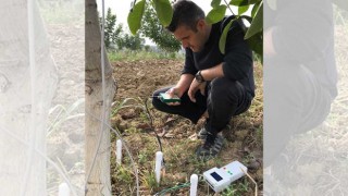 Ceviz ağaçlarının su kullanımı TÜBİTAK destekli projeyle analiz edilecek