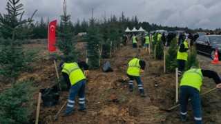 Bursalı 4 bin 92 Çanakkale şehidi için hatıra ormanı oluşturuldu