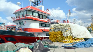 Kocaeli’de balıkçılar ”deniz salyası” nedeniyle sezonu kapattı