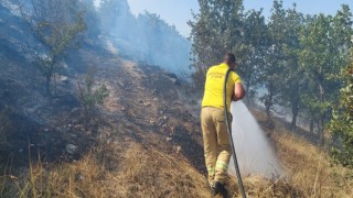 Çanakkale’de ormanlık alanda çıkan yangında 10 hektar alan zarar gördü