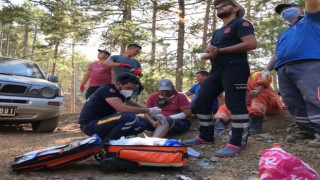 Sakarya İl Sağlık Müdürlüğü ekipleri, yangın bölgelerinde yaraları sarıyor