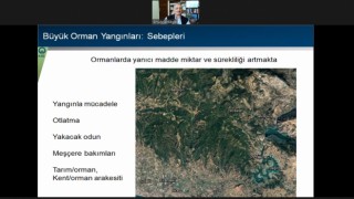 Uzman akademisyenler ”orman yangınlarıyla mücadele” için buluştu