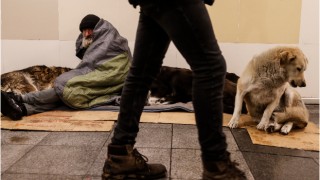 Tuzla Belediyesi kar temizleme çalışmalarını aralıksız sürdürüyor
