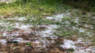 Kırklareli’nde dolu yağışı bazı tarımsal alanlara zarar verdi