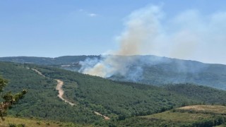 Çanakkale’de çıkan orman yangınına müdahale ediliyor