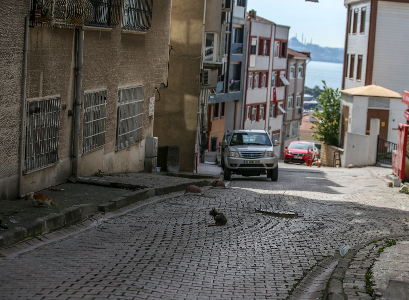 Sokağa çıkma kısıtlaması ikinci gününde Üsküdar Meydanı