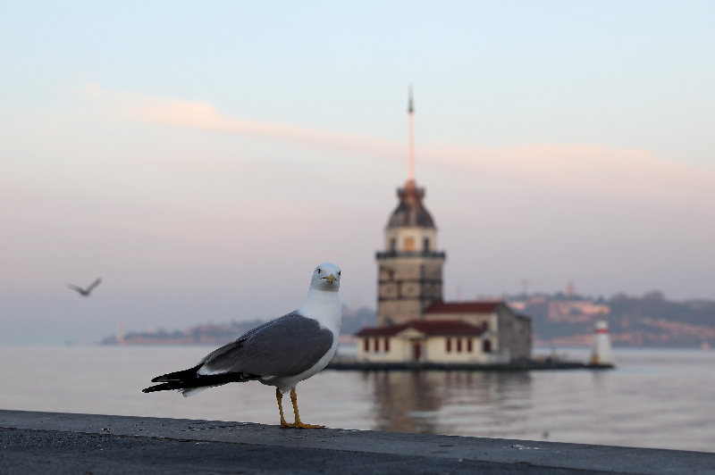 İstanbul'da hafta içi sakin geçiyor 2