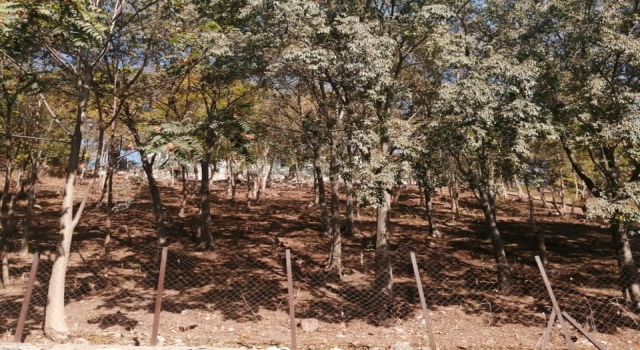 Kırklareli’nden kısa kısa