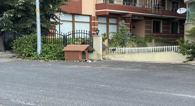 Apartman sakini Özay Kaya’nın, sokak köpeği Köpük için verdiği mücadele amacına ulaştı