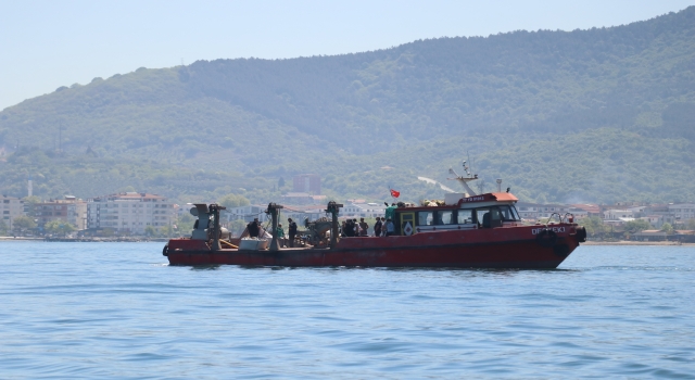 Yalova açıklarında kurulan 4 midye çiftliğinde ilk hasat haziranda yapılacak