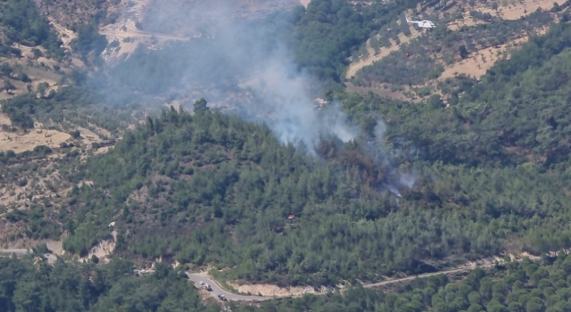 Balıkesir’de çıkan orman yangınına karadan ve havadan müdahale ediliyor