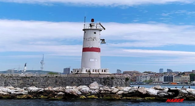 Kıyı Emniyeti bu kez, deniz fenerine takılan karabatağı kurtardı