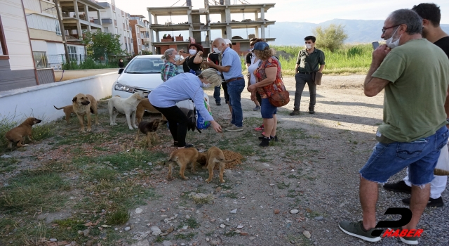 Sokak hayvanlarını besleyen kadını tehdit eden komşusu gözaltına alındı