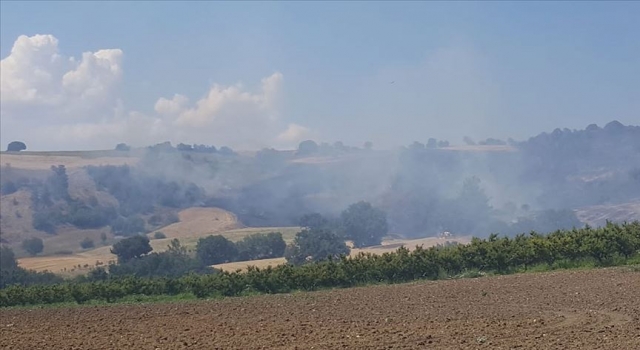 Çanakkale’de orman yangını