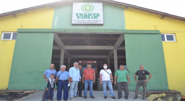 Biga’da üreticilerden ayçiçeği alım dönemi başladı