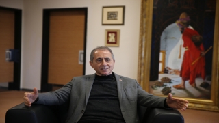 ”Türkiye’nin tek hayvan psikoloğu” sokak hayvanlarının travmalarını anlattı 