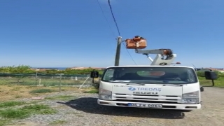 Tekirdağ’da elektrik direğinde mahsur kalan kedi yavrusu kurtarıldı