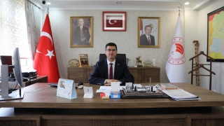 Trakya’da çayır tırtılının ayçiçeğine zararı erken müdahaleyle önlendi