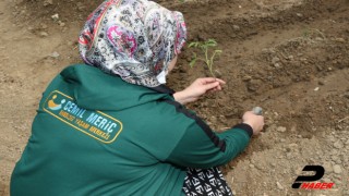 Kocaeli'de "özel" öğrencilerin yetiştirdiği organik ürünler ihtiyaç sahiplerine dağıtılacak