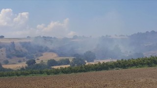 Çanakkale’de orman yangını