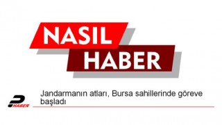 Jandarmanın atları, Bursa sahillerinde göreve başladı